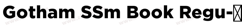 Gotham SSm Book Regu字体转换